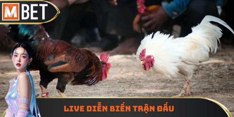 Công nghệ live diễn biến