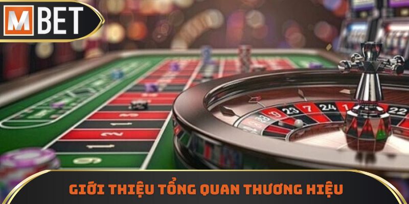 Một số thông tin tổng quan về các thương hiệu đình đám này