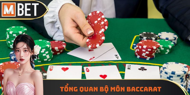 Tổng quan bộ môn Baccarat